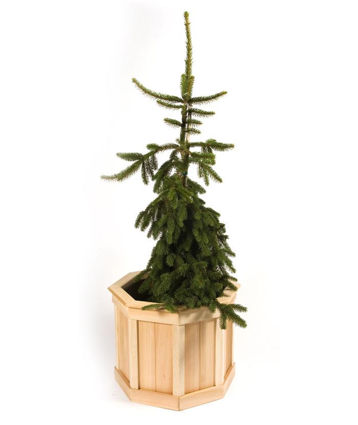 Small Octagonal Cedar Planter