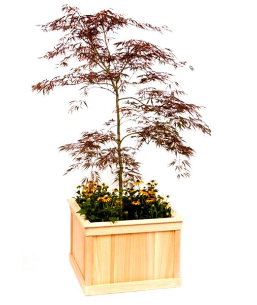 Large Rectangular Cedar Planter