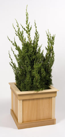 Large Square Cedar Planter